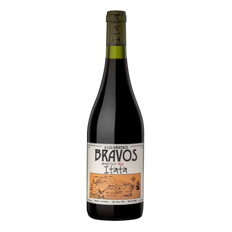 Vino A Los Viñateros Bravos Granitico Pais.