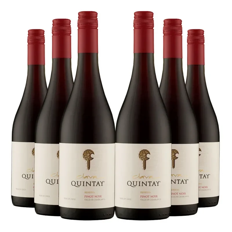 6 Vinos Quintay Clava Pinot Noir