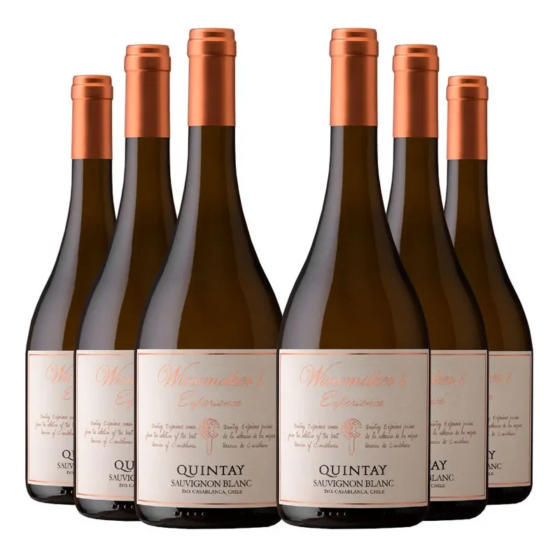 6 Vinos Quintay Experience Sauvignon Blanc