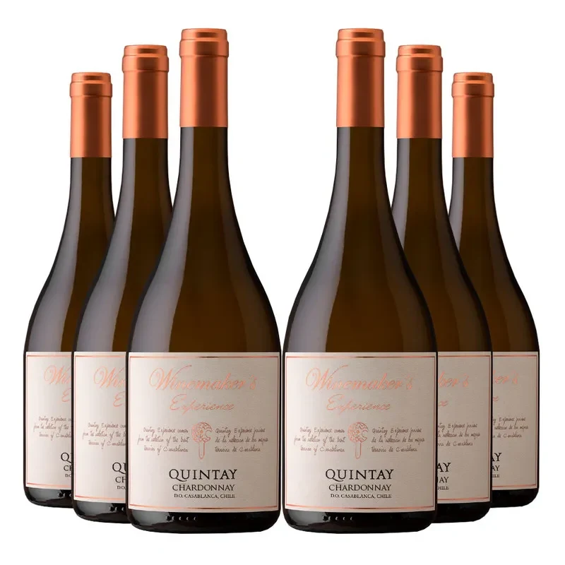 6 Vinos Quintay Experience Chardonnay