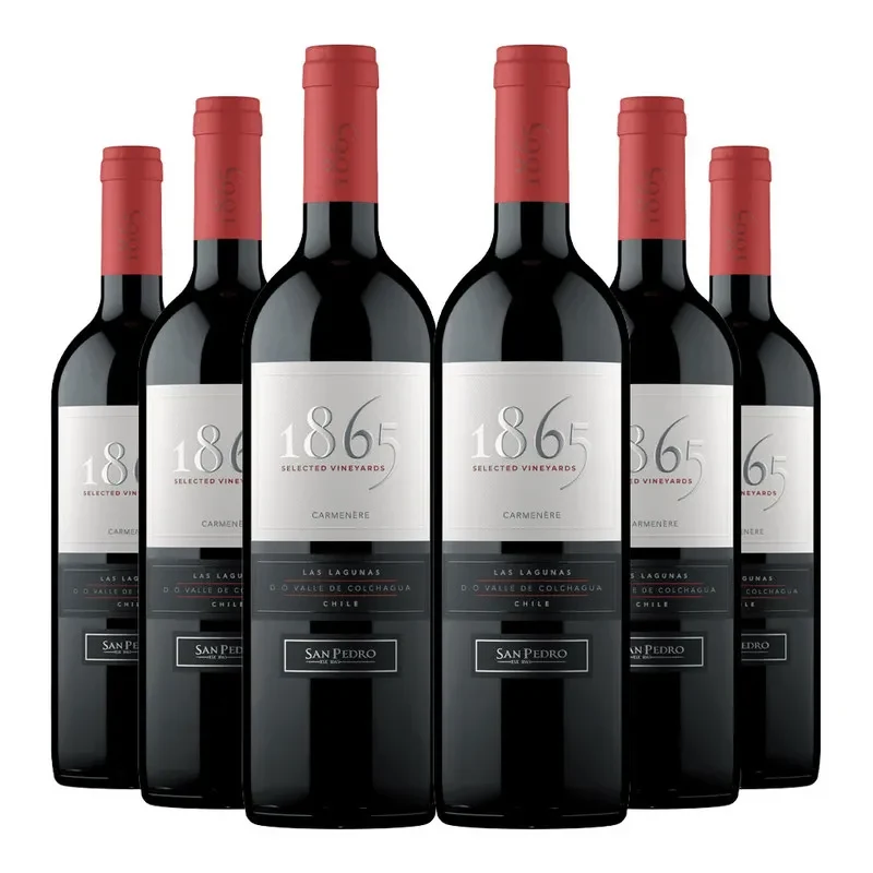 6 Vinos San Pedro 1865 Carmenere