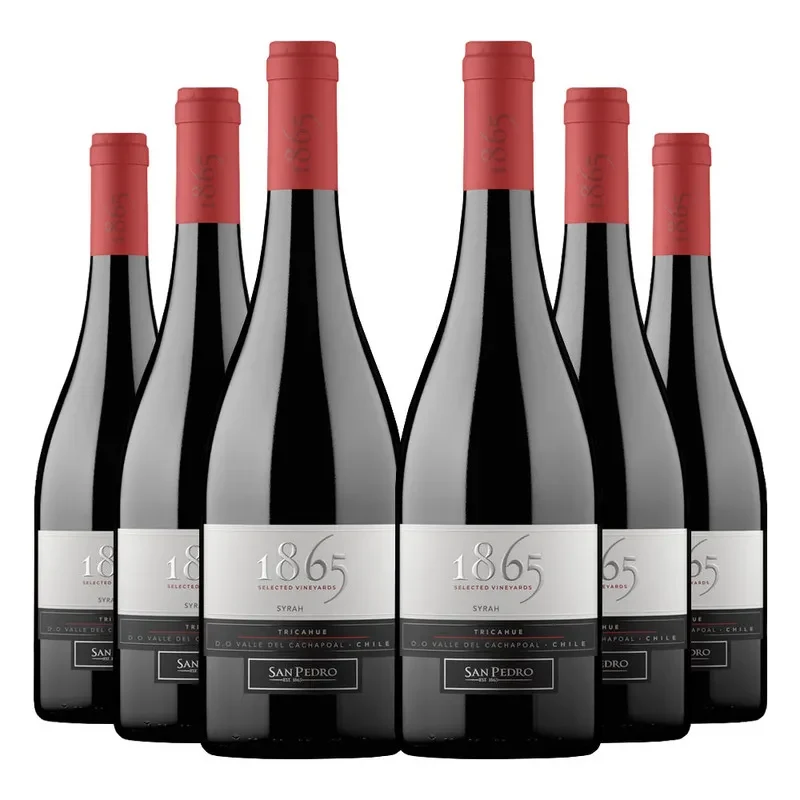 6 Vinos San Pedro 1865 Syrah