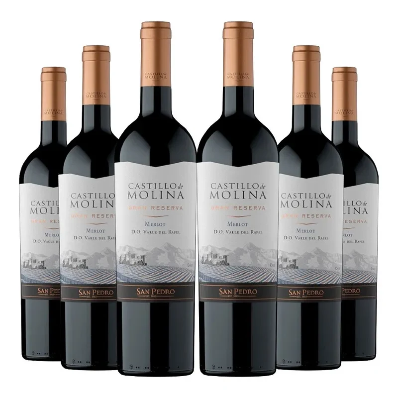 6 Vinos Castillo de Molina Merlot