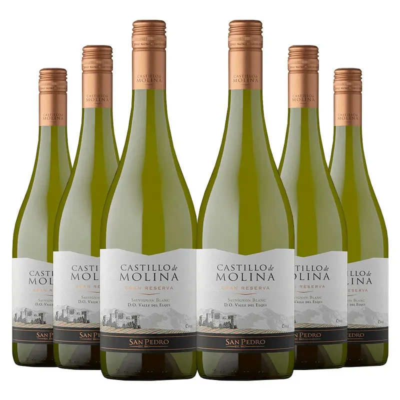 6 Vinos Castillo de Molina Sauvignon Blanc