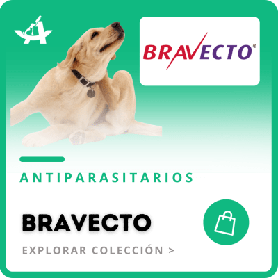 https:  ct arkanet.bsalemarket.comantiparasitarios bravecto