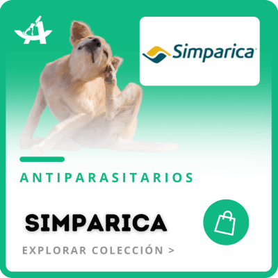 https:  ct arkanet.bsalemarket.comantiparasitarios simparica