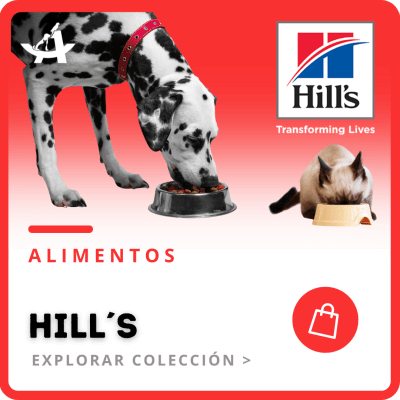 https:  ct arkanet.bsalemarket.comalimentos hill s
