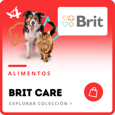 https:  ct arkanet.bsalemarket.comalimentos brit care