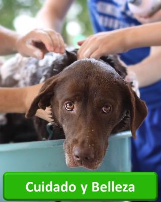 cuidado y belleza