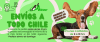 bannertiendaonlinemercadoshopmascotascurvocelesteyazul 18088
