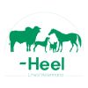 Heel