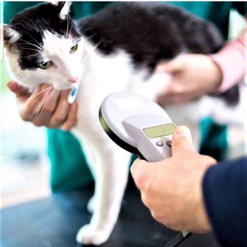 Microchip