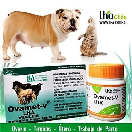 Ovamet Granulado