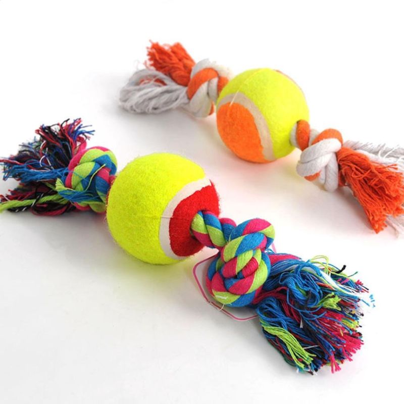 juguetes para gatos persas