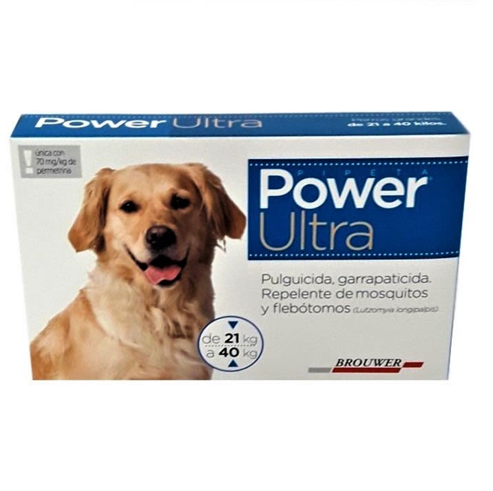 Power 21 a 40 kg