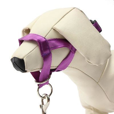 Dog Head Collar-Bozal Antitirones