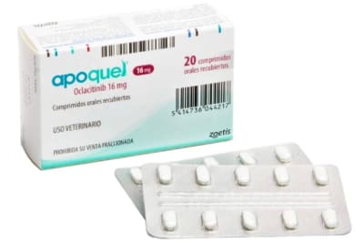 Apoquel 16 mg 20 comprimidos
