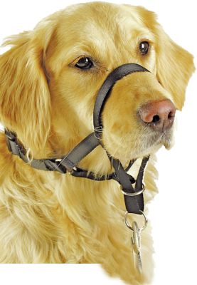 Dog Head Collar-Bozal Antitirones