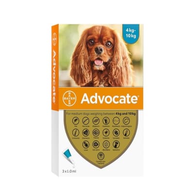 Advocate Antiparasitario Interno y externo para Perro 4 a 10 kg Pipeta