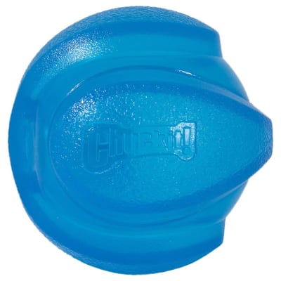 Pelota Para Perro Chuckit Light Fetch Medium