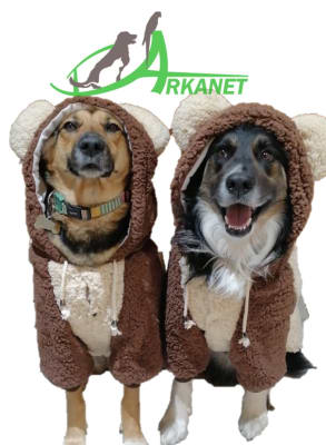 Poleron Chiporro Osito Para Perro