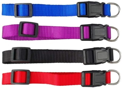 Collar Para Perro Ajustable  Aspenpet