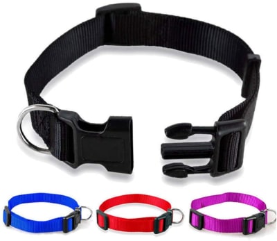 Collar Para Perro Ajustable  Aspenpet