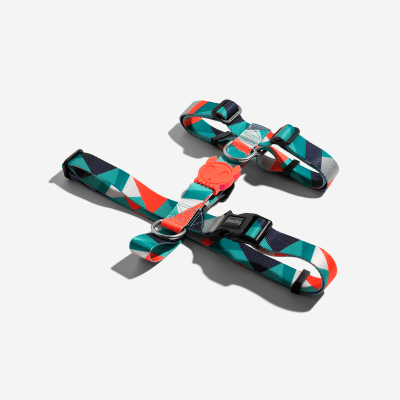 Ella H- Harness Arnes Para Perro zeedog