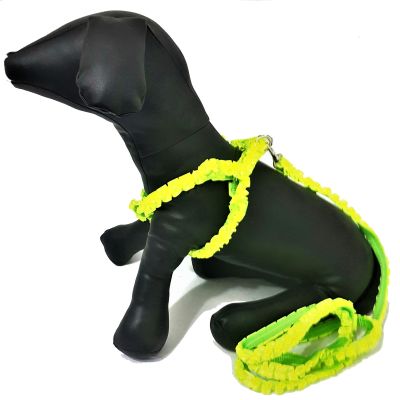Arnés de Perro Tiras Onduladas Arnés de Perro Tiras Onduladas
