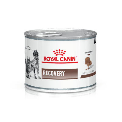 Royal Canin Felino Recovery 145 gr