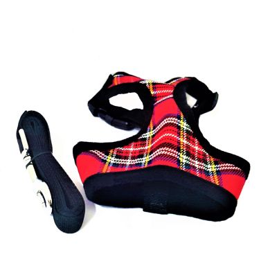 Arnes Pechera Escoces + correa