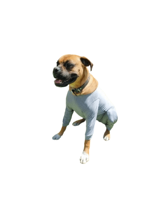 Cunatex Body Ajustable Post-quirúrgico Castración (4 Patas)