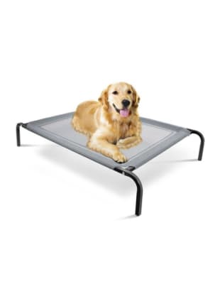 Cama Elevada BRNX Tamaño L (76 x 114 x 15 cm)