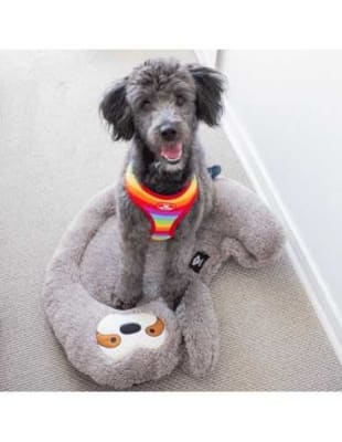 Cama Perezoso  BRNX (67 x 53 x 6 cm)