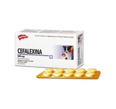 Cefalexina 500 mg 1 Blister x 10 comprimidos Cefalexina 500 mg 1 Blister x 10 comprimidos