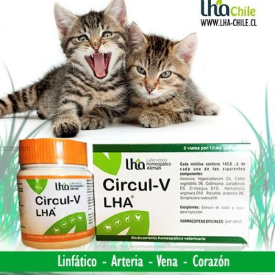 Circul-V Circul-V