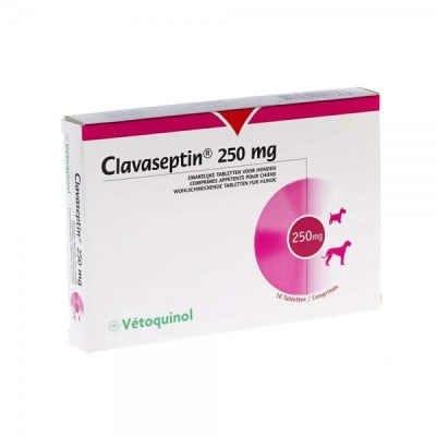 Clavaseptin 250 mg