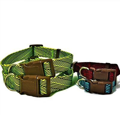 Collar Nylon Diseño Línea Collar Nylon Diseño Línea