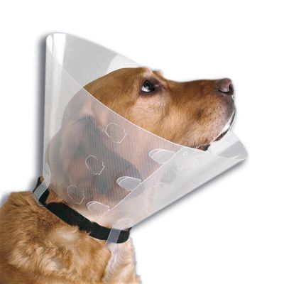 Collar Isabelino Buster Classic