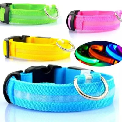 Collar Led Talla S Collar Led Talla S