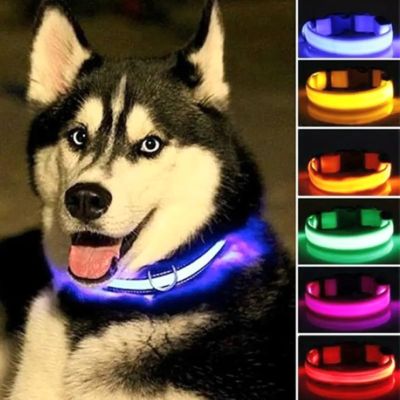 Collar Led Talla S Collar Led Talla S