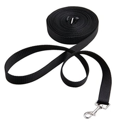 Aspenpet Correa De Entrenamiento Para Perro