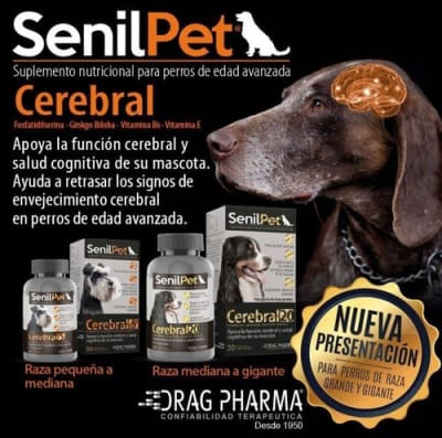 Senilpet Cerebral 20 30 comprimidos