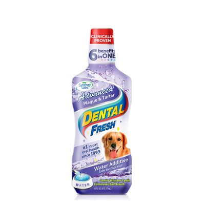 Dental fresh Plaque & Tartar Dental fresh Plaque & Tartar