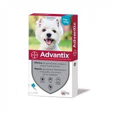 Advantix 4 a 10 kg