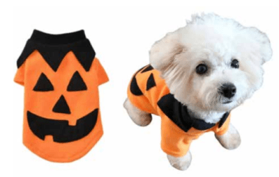Marben Pets Disfraz Halloween Calabaza