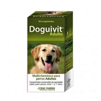 Doguivit Adulto