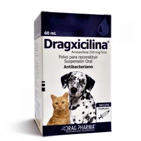Dragxicilina Dragxicilina