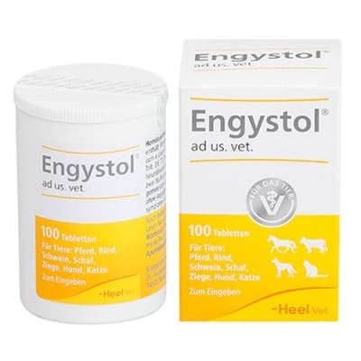 Engystol 100 Comprimidos