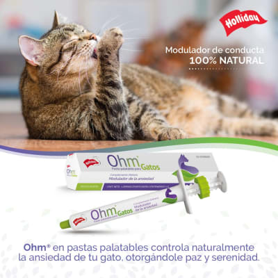 Ohm Pasta Para Gatos Modulador de la Ansiedad 7 gr Ohm Pasta Para Gatos Modulador de la Ansiedad 7 gr